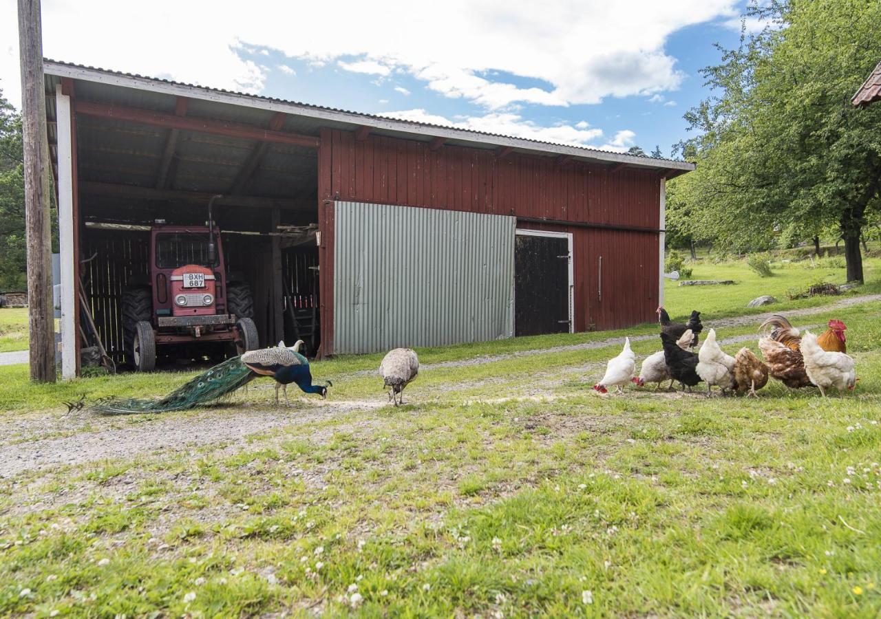 18Th Century Farm Cottage バルデマーシュビーク エクステリア 写真