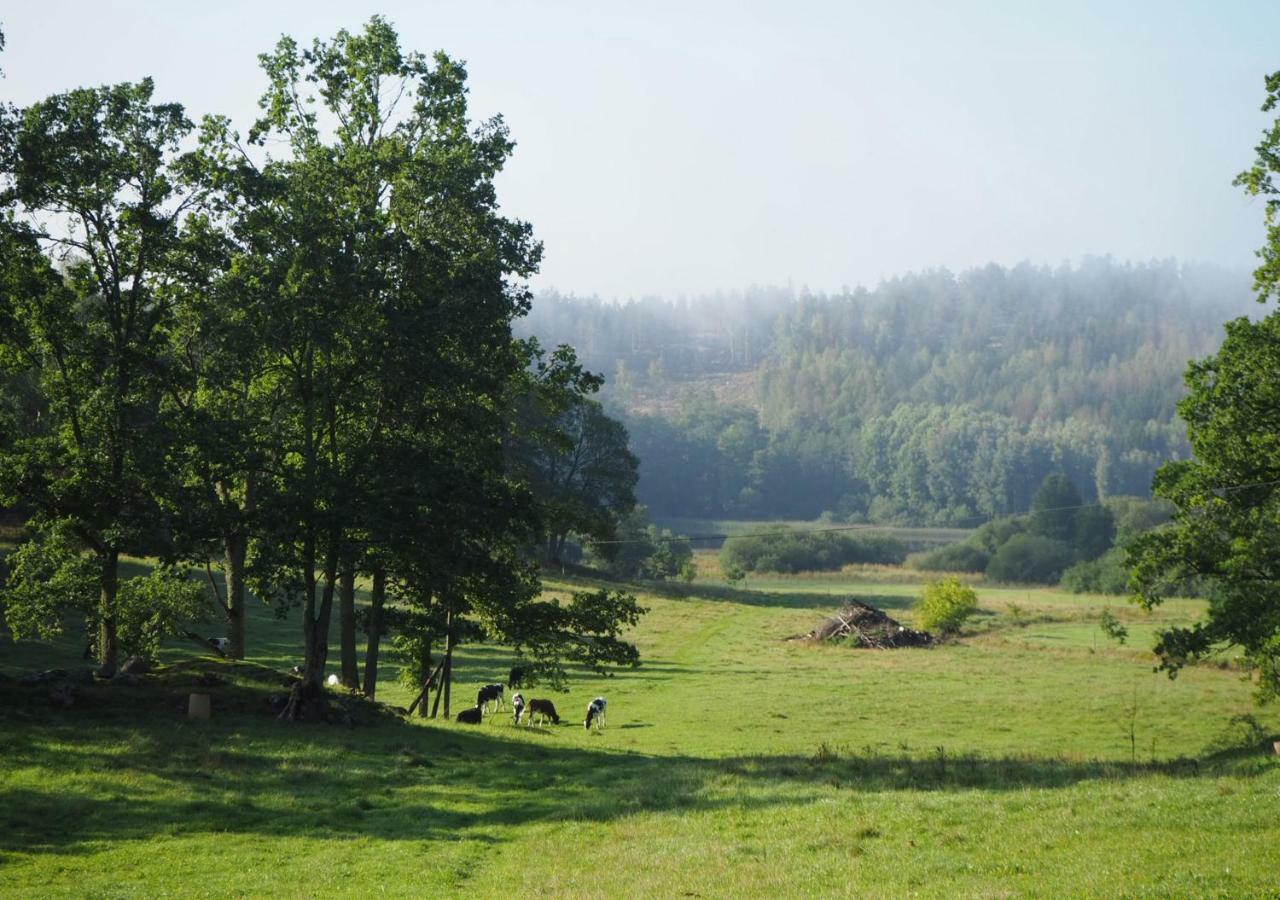 18Th Century Farm Cottage バルデマーシュビーク エクステリア 写真