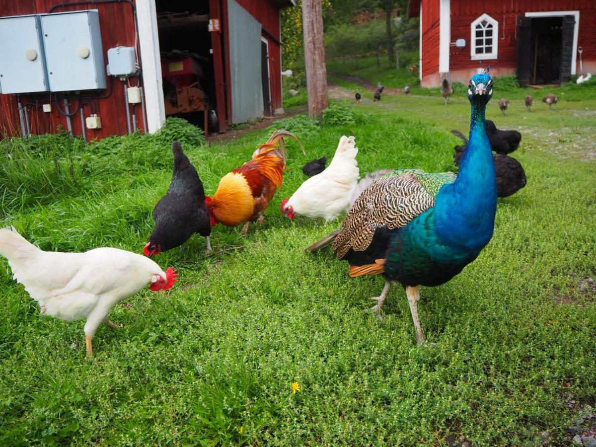 18Th Century Farm Cottage バルデマーシュビーク エクステリア 写真